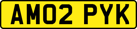 AM02PYK