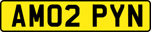 AM02PYN