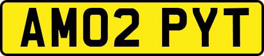 AM02PYT