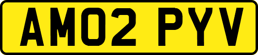 AM02PYV