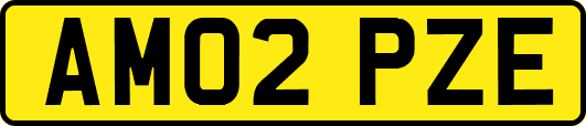 AM02PZE