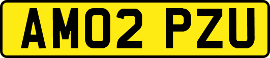 AM02PZU