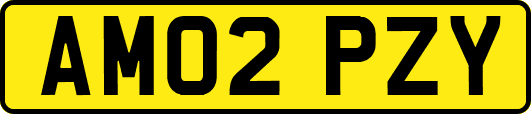 AM02PZY