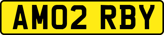 AM02RBY