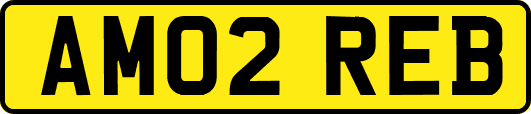 AM02REB