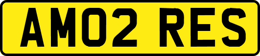 AM02RES