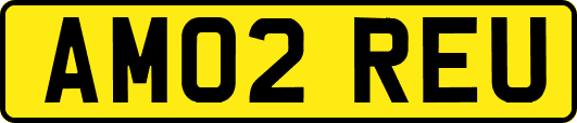 AM02REU