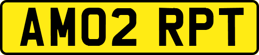 AM02RPT