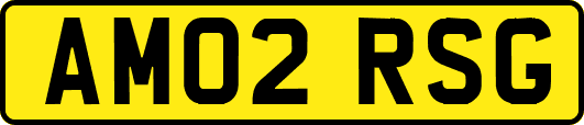 AM02RSG