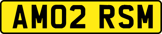 AM02RSM
