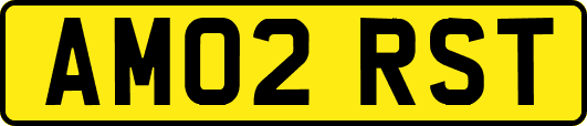 AM02RST