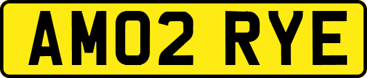 AM02RYE