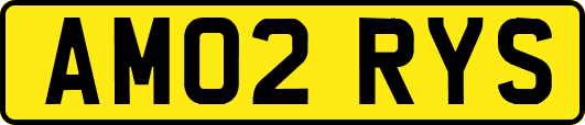 AM02RYS