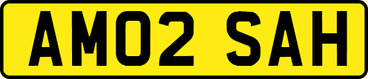 AM02SAH