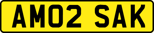 AM02SAK