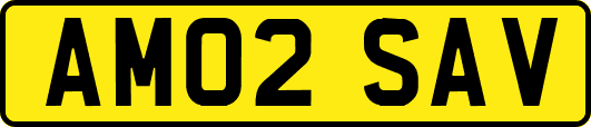 AM02SAV