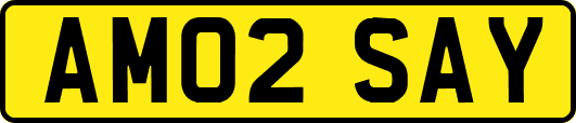 AM02SAY