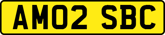 AM02SBC