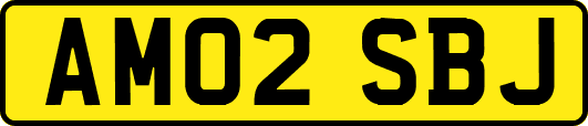 AM02SBJ