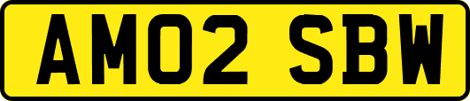 AM02SBW