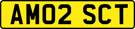 AM02SCT