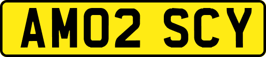 AM02SCY