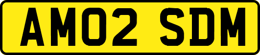 AM02SDM
