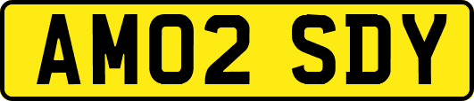 AM02SDY