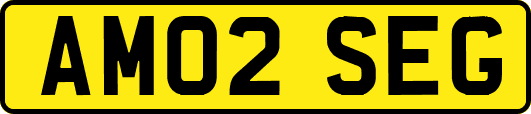 AM02SEG