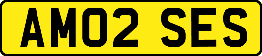 AM02SES