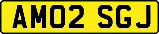 AM02SGJ