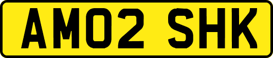 AM02SHK