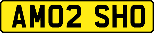 AM02SHO
