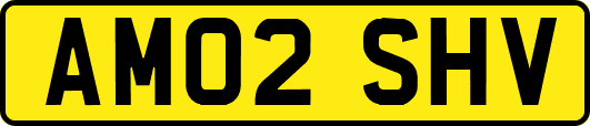 AM02SHV