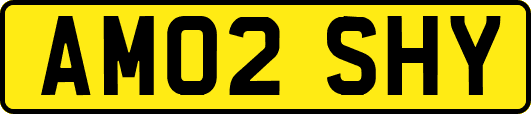 AM02SHY