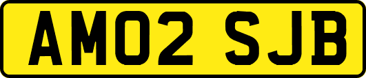 AM02SJB