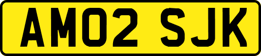 AM02SJK