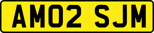 AM02SJM