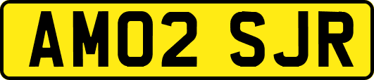 AM02SJR