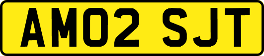 AM02SJT