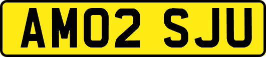 AM02SJU