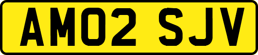 AM02SJV