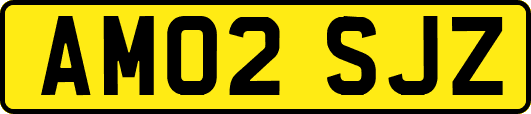 AM02SJZ