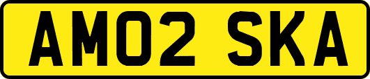 AM02SKA