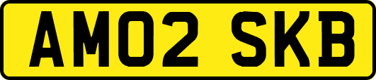 AM02SKB