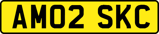 AM02SKC