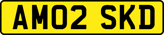 AM02SKD