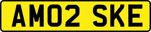 AM02SKE