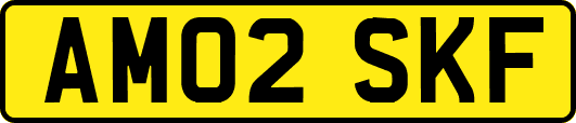AM02SKF