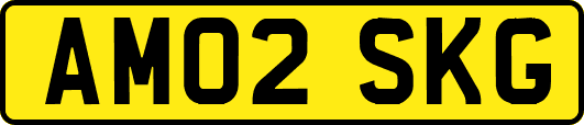 AM02SKG